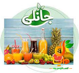 خرید بهترین انواع آبمیوه جانلی با قیمت ارزان